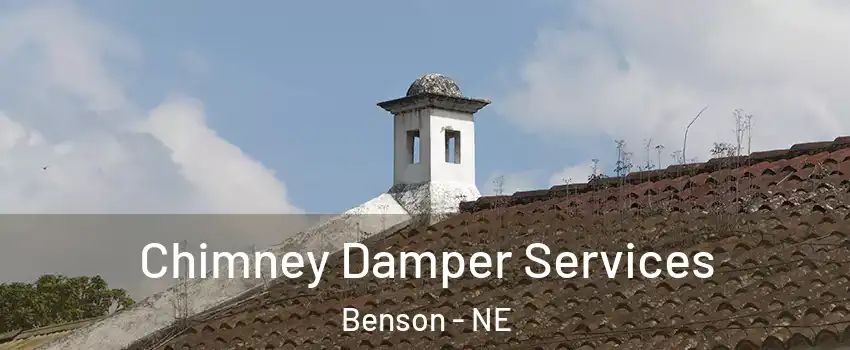 Chimney Damper Services Benson - NE