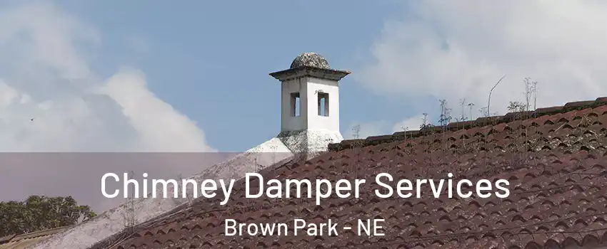 Chimney Damper Services Brown Park - NE