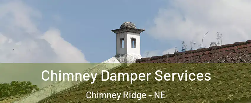Chimney Damper Services Chimney Ridge - NE