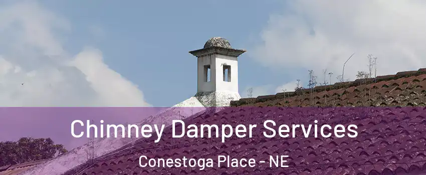 Chimney Damper Services Conestoga Place - NE