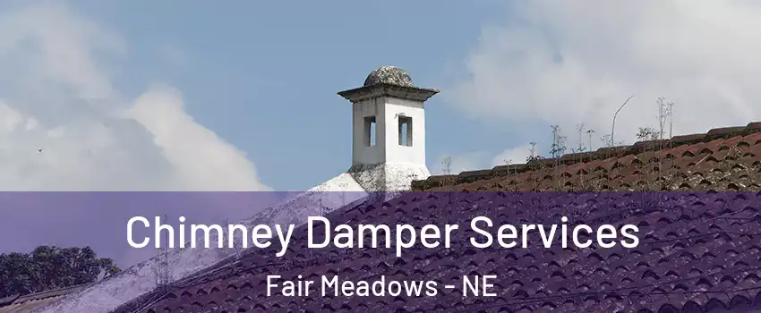 Chimney Damper Services Fair Meadows - NE