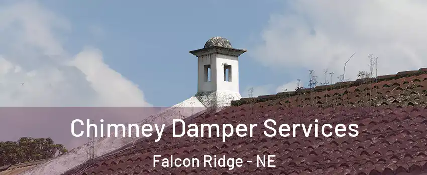 Chimney Damper Services Falcon Ridge - NE