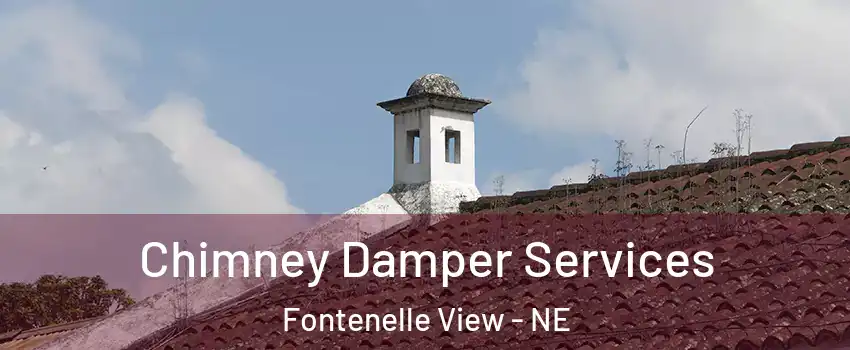 Chimney Damper Services Fontenelle View - NE