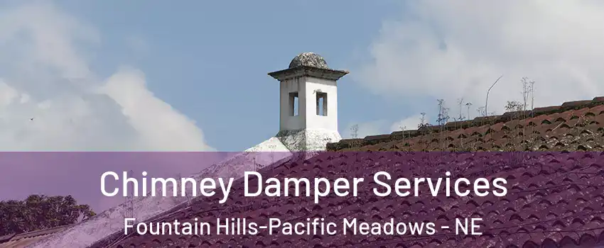 Chimney Damper Services Fountain Hills-Pacific Meadows - NE