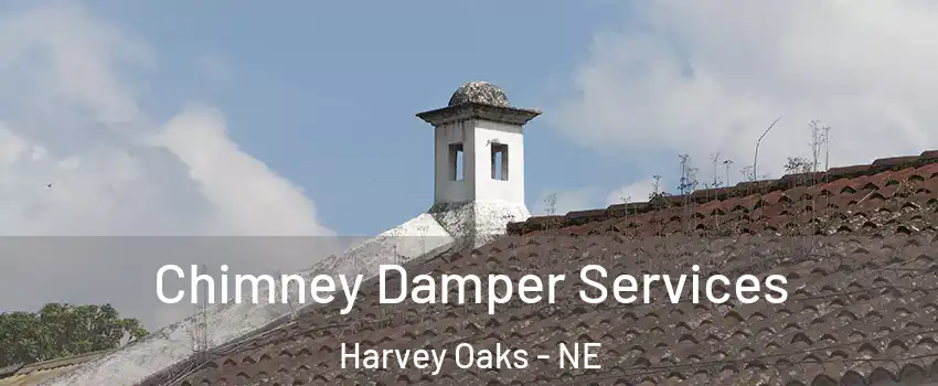 Chimney Damper Services Harvey Oaks - NE