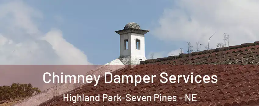 Chimney Damper Services Highland Park-Seven Pines - NE