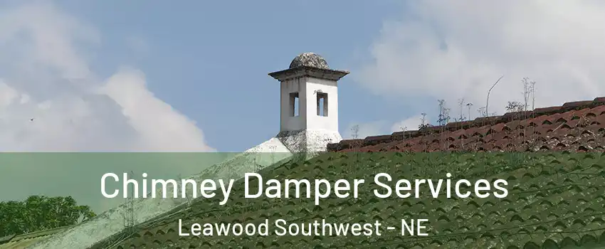 Chimney Damper Services Leawood Southwest - NE