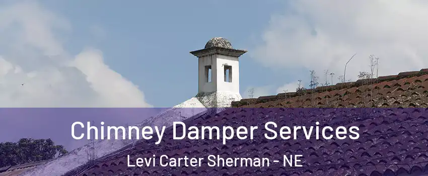 Chimney Damper Services Levi Carter Sherman - NE