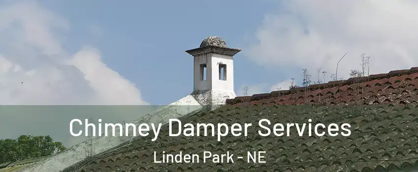 Chimney Damper Services Linden Park - NE