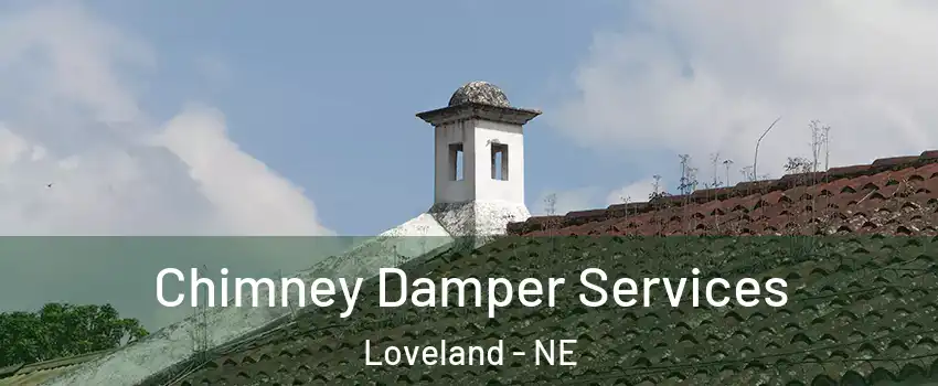 Chimney Damper Services Loveland - NE
