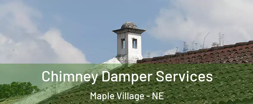 Chimney Damper Services Maple Village - NE