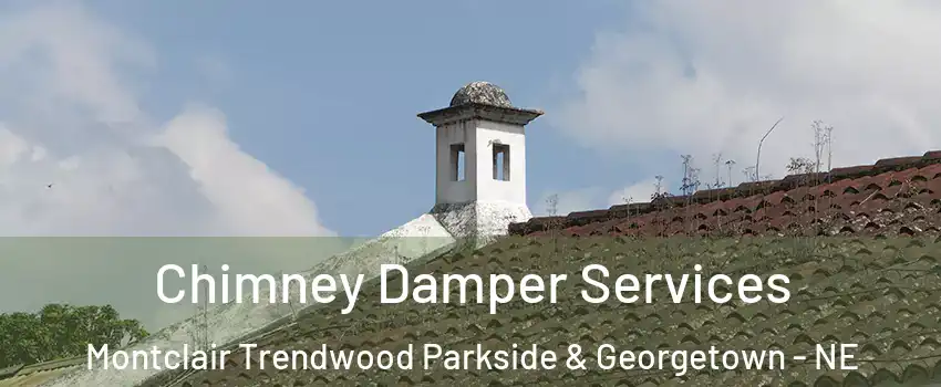 Chimney Damper Services Montclair Trendwood Parkside & Georgetown - NE