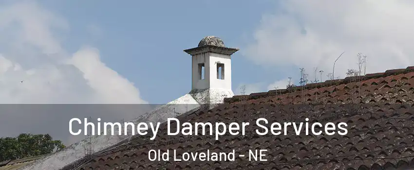 Chimney Damper Services Old Loveland - NE