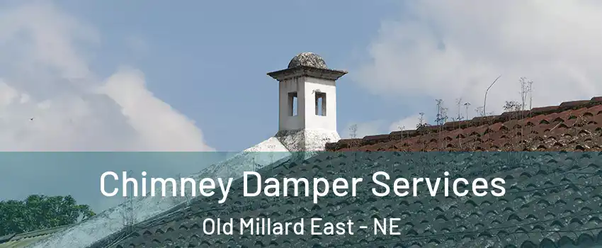 Chimney Damper Services Old Millard East - NE