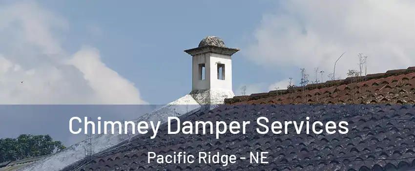 Chimney Damper Services Pacific Ridge - NE