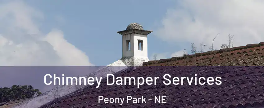Chimney Damper Services Peony Park - NE