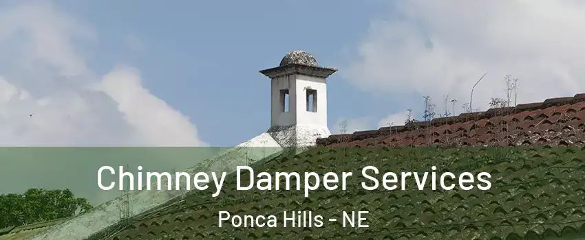 Chimney Damper Services Ponca Hills - NE