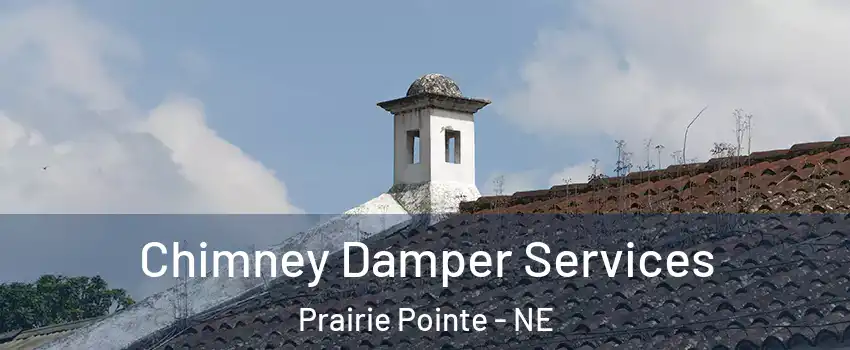 Chimney Damper Services Prairie Pointe - NE