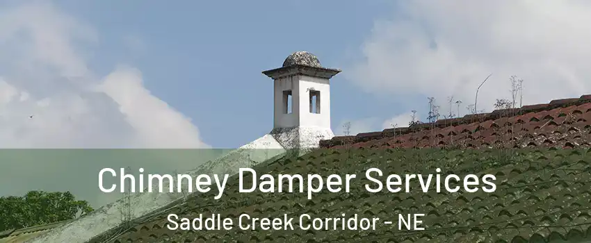 Chimney Damper Services Saddle Creek Corridor - NE