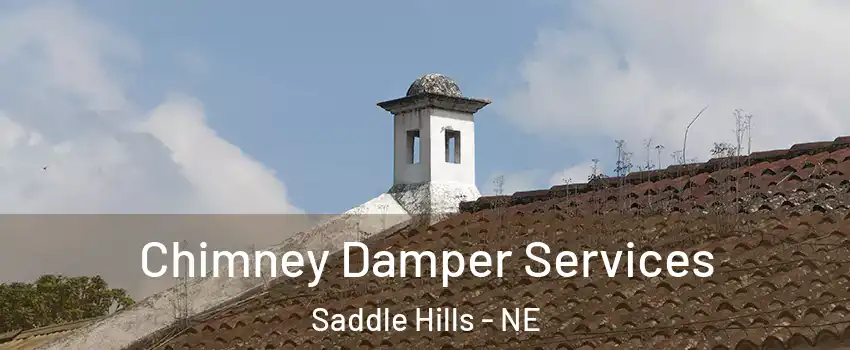 Chimney Damper Services Saddle Hills - NE