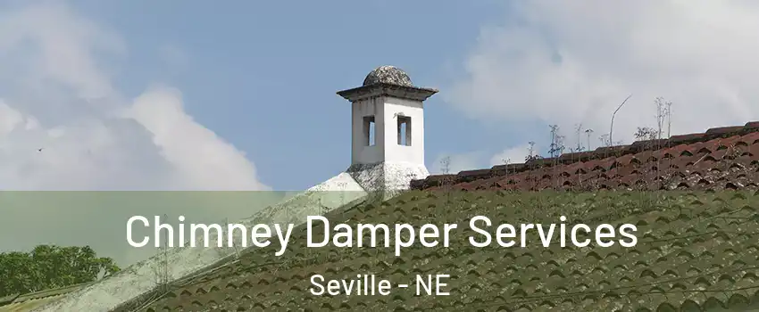 Chimney Damper Services Seville - NE