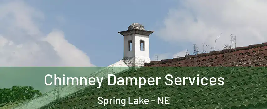 Chimney Damper Services Spring Lake - NE