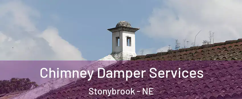Chimney Damper Services Stonybrook - NE