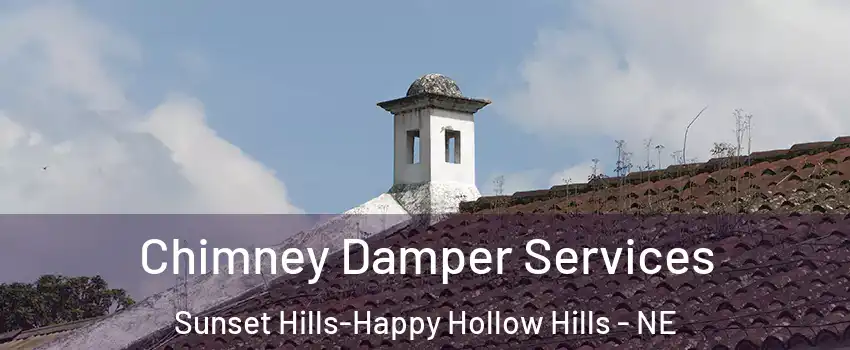 Chimney Damper Services Sunset Hills-Happy Hollow Hills - NE