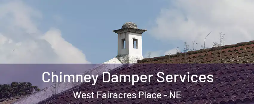 Chimney Damper Services West Fairacres Place - NE