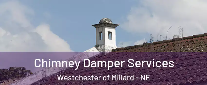 Chimney Damper Services Westchester of Millard - NE