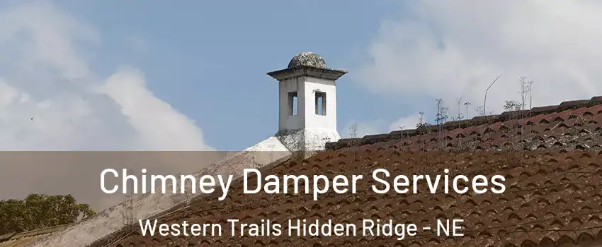 Chimney Damper Services Western Trails Hidden Ridge - NE