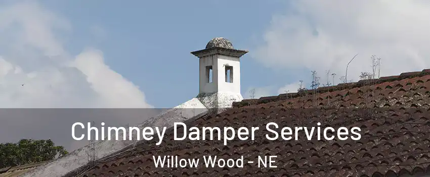 Chimney Damper Services Willow Wood - NE