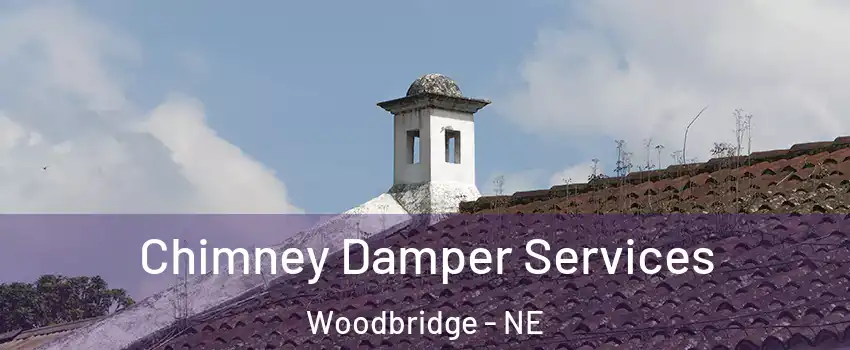 Chimney Damper Services Woodbridge - NE