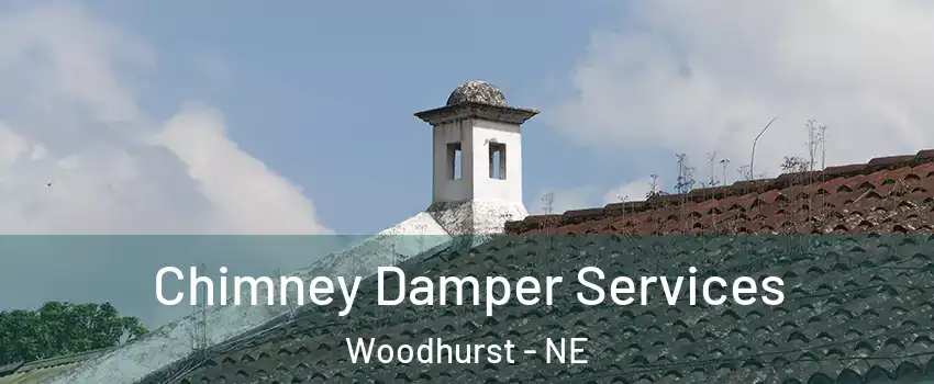 Chimney Damper Services Woodhurst - NE