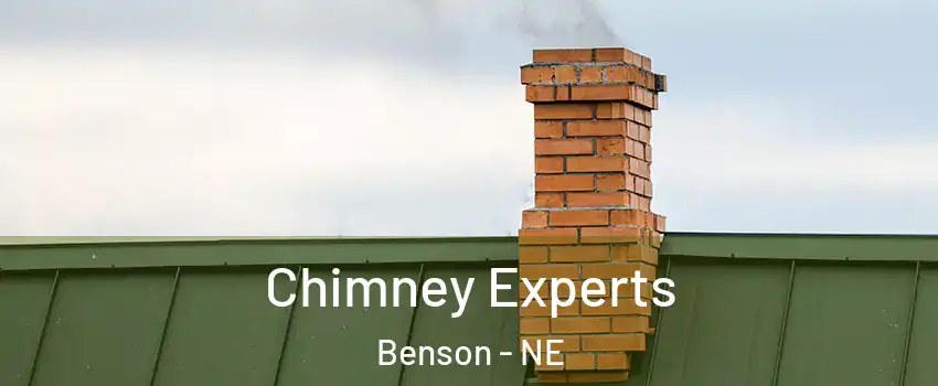 Chimney Experts Benson - NE