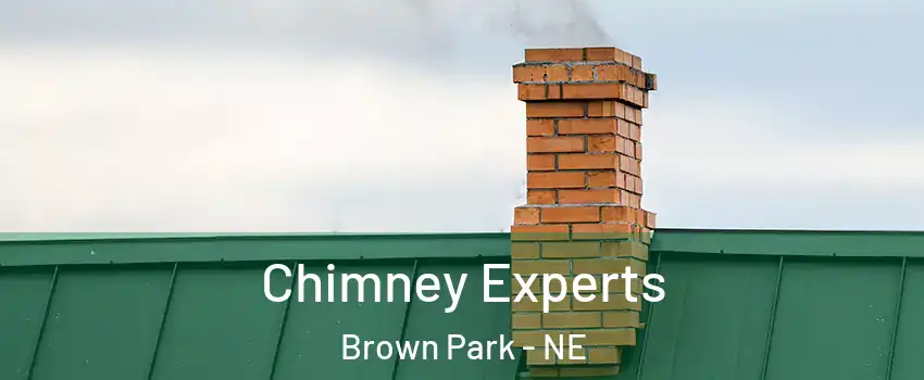 Chimney Experts Brown Park - NE
