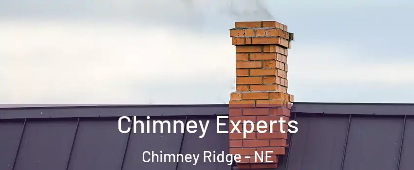 Chimney Experts Chimney Ridge - NE