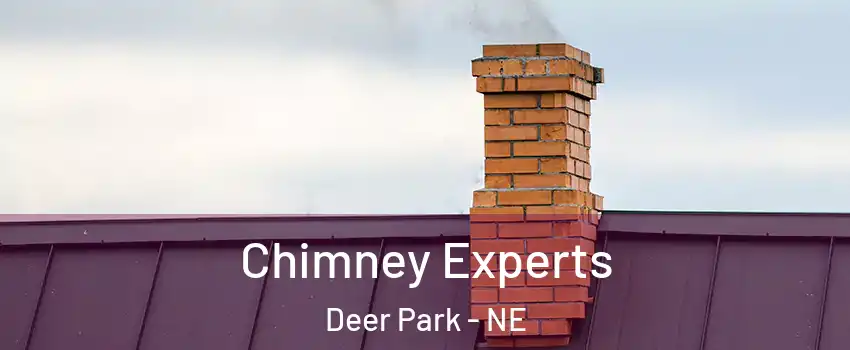 Chimney Experts Deer Park - NE