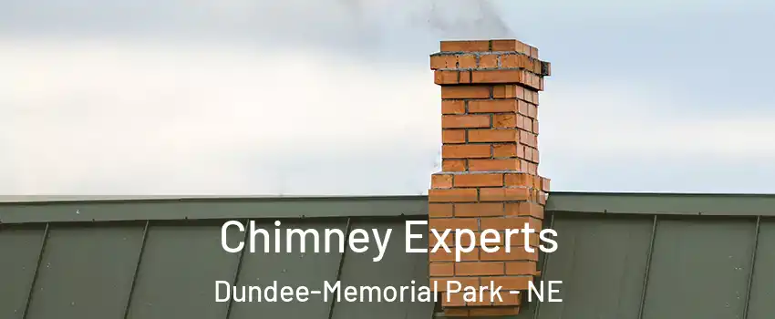 Chimney Experts Dundee-Memorial Park - NE