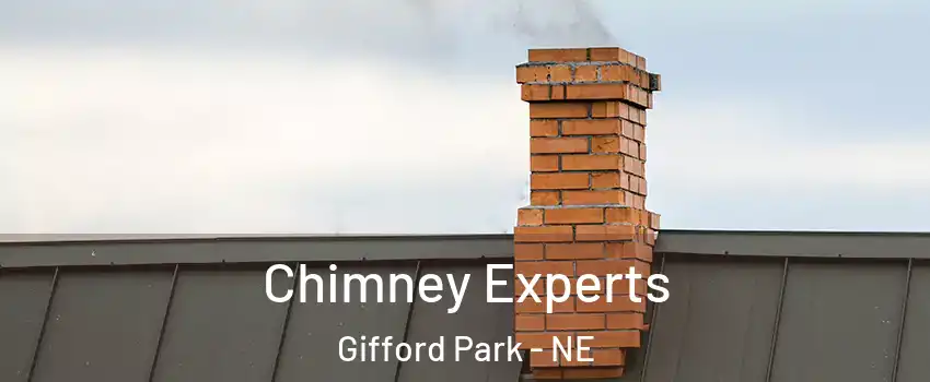 Chimney Experts Gifford Park - NE