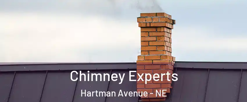 Chimney Experts Hartman Avenue - NE