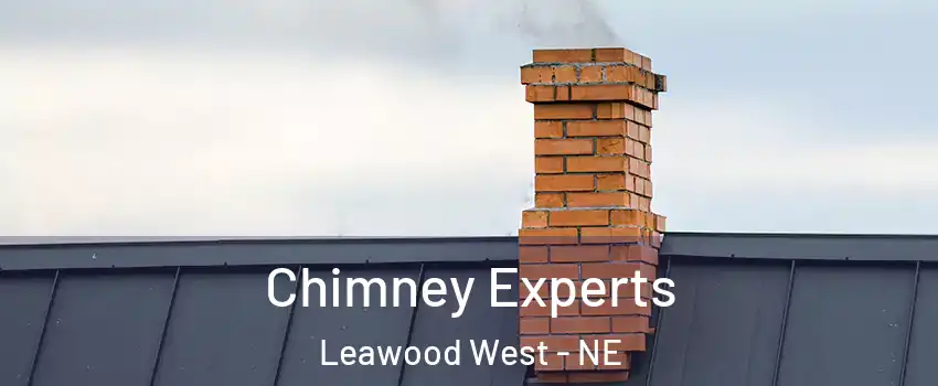 Chimney Experts Leawood West - NE