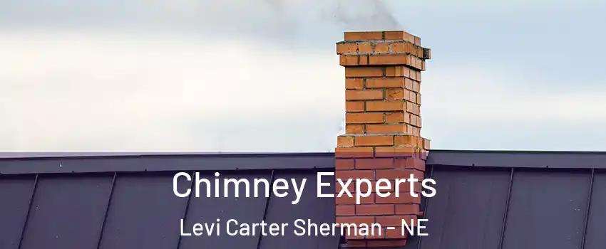 Chimney Experts Levi Carter Sherman - NE