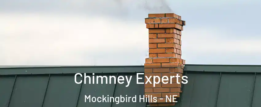 Chimney Experts Mockingbird Hills - NE