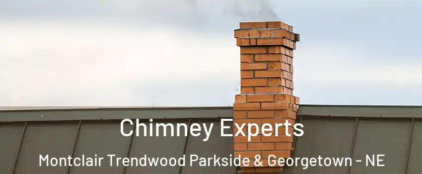 Chimney Experts Montclair Trendwood Parkside & Georgetown - NE