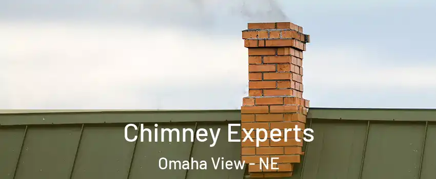Chimney Experts Omaha View - NE