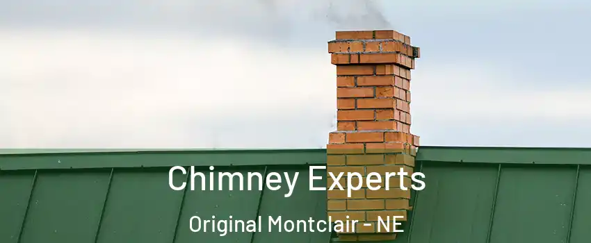 Chimney Experts Original Montclair - NE