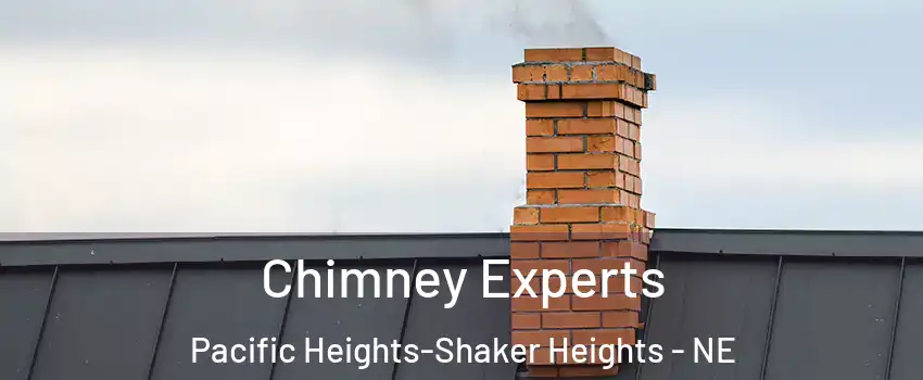 Chimney Experts Pacific Heights-Shaker Heights - NE