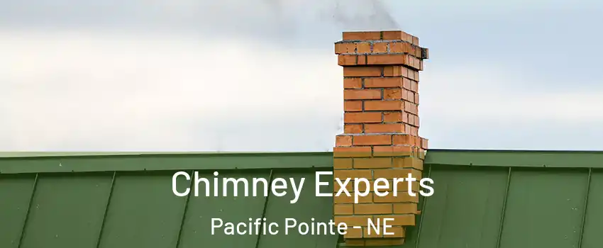 Chimney Experts Pacific Pointe - NE