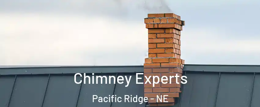 Chimney Experts Pacific Ridge - NE